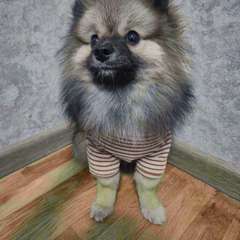 Фото отзыва 9734922