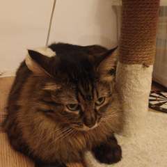 Фото отзыва 10731881