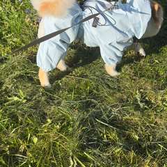 Фото отзыва 10802946