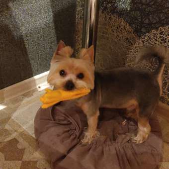 Игрушка для собак Triol Поросенок 13.5см: отзыв пользователя. Зоомагазин Зоозавр