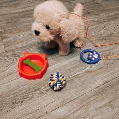 Фото отзыва 11149904