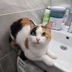 Фото отзыва 10988569