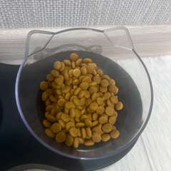 Фото отзыва 10827307