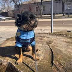 Фото отзыва 11193322