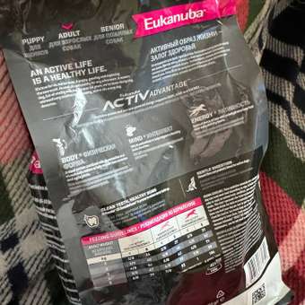 Корм Eukanuba Dog 500г для взрослых собак миниатюрных пород сухой: отзыв пользователя. Зоомагазин Зоозавр