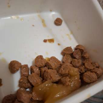 Корм для кошек Pet-a-Pet 85г стерилизованных Кусочки с цыпленком в желе пауч: отзыв пользователя. Зоомагазин Зоозавр