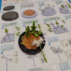 Фото отзыва 10793080