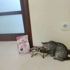 Фото отзыва 10997844