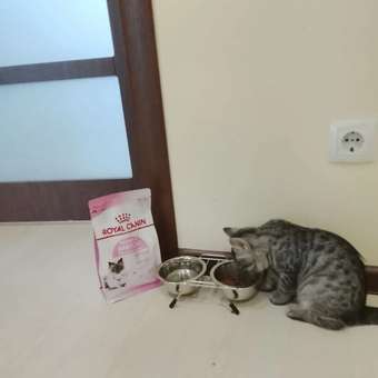 Корм для котят Royal Canin Mother and Babycat 400г: отзыв пользователя. Зоомагазин Зоозавр
