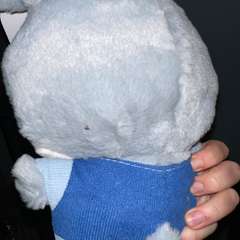 Фото отзыва 10591885