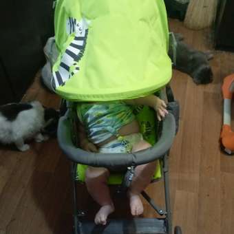 Коляска прогулочная Babyton Zoo New зеленый: отзыв пользователя ДетМир