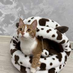 Фото отзыва 10945048