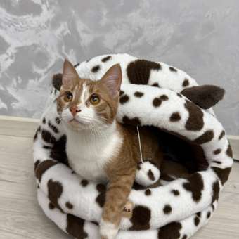 Домик Barbaks Му-му-му 43*39*42см: отзыв пользователя. Зоомагазин Зоозавр