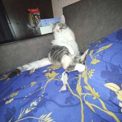 Фото отзыва 10647601