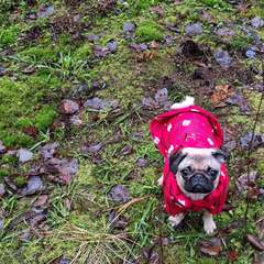 Фото отзыва 10689747