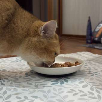 Корм для кошек ROYAL CANIN Сенситивити Контр 85г: отзыв пользователя. Зоомагазин Зоозавр