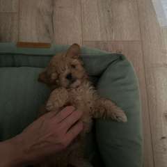 Фото отзыва 10873373