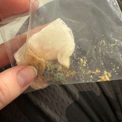 Фото отзыва 10973534