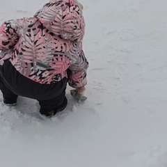 Фото отзыва 10874630