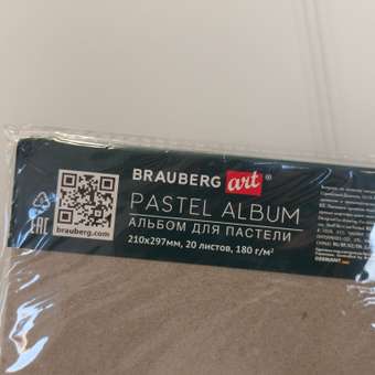Альбом Brauberg для пастели А4 20 лист. 1 шт.: отзыв пользователя Детский Мир