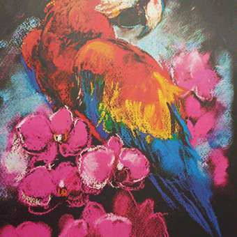 Скетчбук Prof-Press Ара в цветах 20л А4 СБ20-7188: отзыв пользователя ДетМир