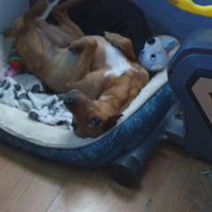 Фото отзыва 10705362