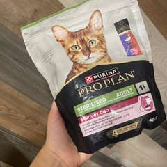 Фото отзыва 10720835