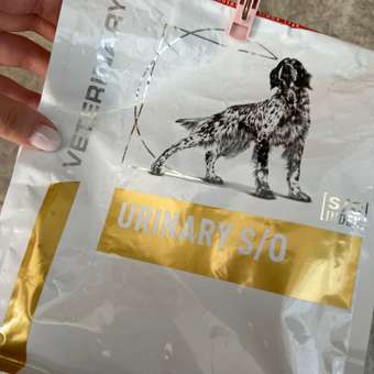 Корм для собак ROYAL CANIN Veterinary Diet Urinary S/O LP 18 при заболеваниях дистального отдела мочевыделительной системы 2кг: отзыв пользователя. Зоомагазин Зоозавр