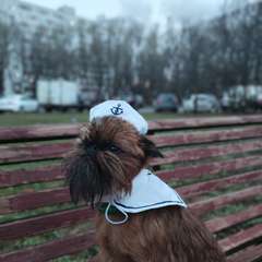 Фото отзыва 11264049