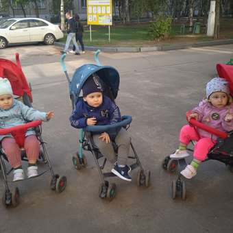 Коляска прогулочная Babyton Zoo Blue синий: отзыв пользователя ДетМир