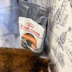 Фото отзыва 10753070