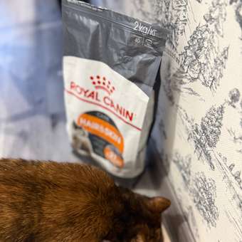 Корм сухой для кошек ROYAL CANIN Hair/Skin Care 2кг для поддержания здоровья кожи и шерсти: отзыв пользователя. Зоомагазин Зоозавр