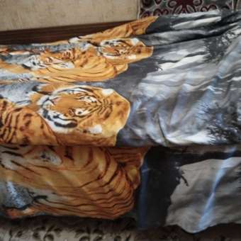 Комплект постельного белья PAVLine Тигры полутораспальный: отзыв пользователя Детский Мир