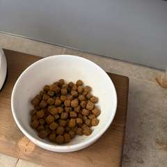 Фото отзыва 11069910