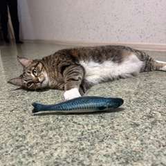 Фото отзыва 10936221