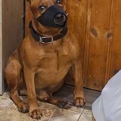 Фото отзыва 10744103