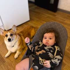 Фото отзыва 10713791