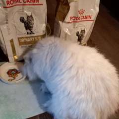 Фото отзыва 10634397