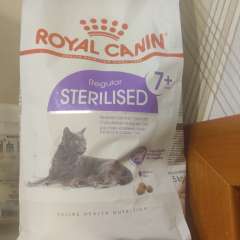 Фото отзыва 10551348