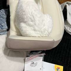 Фото отзыва 10491093