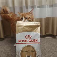 Фото отзыва 10675025