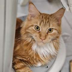 Фото отзыва 10776056