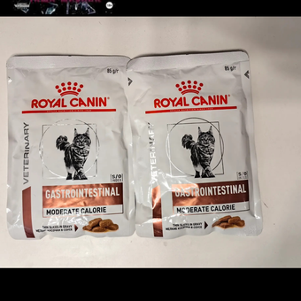Корм влажный для кошек ROYAL CANIN GASTROINTESTINAL MODERATE CALORIE при расстройствах пищеварения: отзыв пользователя. Зоомагазин Зоозавр