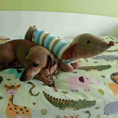 Фото отзыва 8770761