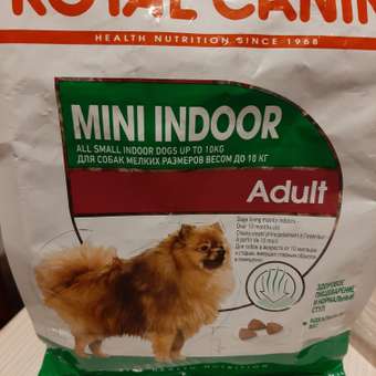 Корм для собак ROYAL CANIN малых пород живущих преимущественно в домашних условиях 500г: отзыв пользователя. Зоомагазин Зоозавр
