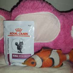 Фото отзыва 10530176