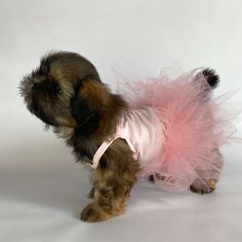 Платье для собак и кошек Зоозавр: отзыв пользователя. Зоомагазин Зоозавр