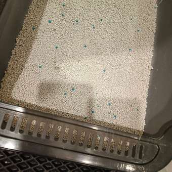 Наполнитель Homzen Океан 10 л комкующийся, минеральный: отзыв пользователя. Зоомагазин Зоозавр