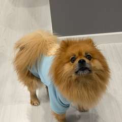 Фото отзыва 10885099