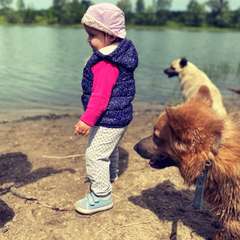 Фото отзыва 4751846